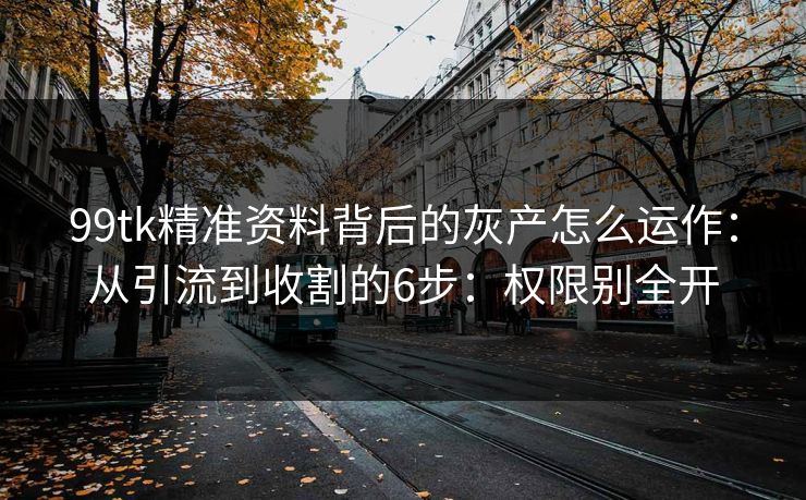 99tk精准资料背后的灰产怎么运作：从引流到收割的6步：权限别全开