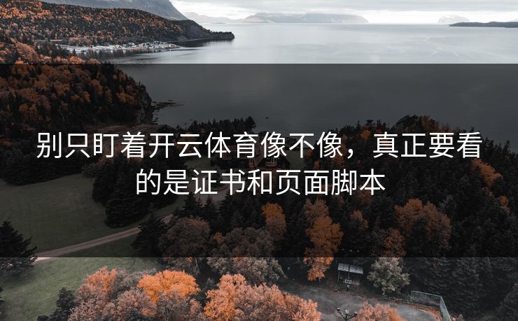 别只盯着开云体育像不像，真正要看的是证书和页面脚本