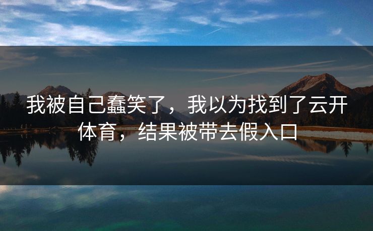 我被自己蠢笑了，我以为找到了云开体育，结果被带去假入口