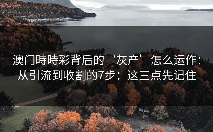 澳门時時彩背后的‘灰产’怎么运作:从引流到收割的7步:这三点先记住 澳门時時彩背后的‘灰产’怎么运作:从引流到收割的7步:这三点先记住